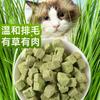 Comprimidos de grama para gatos, petiscos liofilizados para gatos, palitos de dentição de catnip prontos para consumo, comprimidos para remoção de pelos e bolas de pelo, suprimentos para engorda de gatos