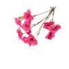 Narciso Simulado Flor Artificial Ramo de Boda Hecho a Mano de Alta Gama Floral Paisajismo Salón de Bodas DIY Pared de Flores Arreglo Floral de Piso