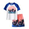 Roupa de Banho Infantil Meninos Roupa de Banho Dividida 2025 Nova Estampa de Coqueiro Manga Curta Shorts de Praia Roupa de Banho Meninos