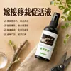 Solución activadora de injerto, agente cicatrizante para plantas, spray para injerto, agente cicatrizante especializado para superficies de corte de árboles frutales y bonsáis