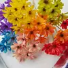 Sementes, Flores, Flores Eternas, Flores Secas Artesanais, Kit de Material DIY, Arranjo de Flores em Vaso, Flores Naturais Reais, Adereços para Fotografia, Plantas Estilo Ins