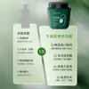 Zhenxiu Abacate Máscara Capilar Luxuosa Reparadora para Cabelos Secos e com Frizz Creme Essência para Cuidados Anticaspa Anticoceira Alisante Tratamento Capilar Venda por Atacado