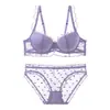 Conjunto de Lingerie para Seios Pequenos, Sutiã Push-Up, Anti-Queda, Renda Francesa, Conjunto de Sutiã Sexy, Outono e Inverno, Melhora a Aparência do Busto