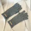 Guantes Trenzados Estilo Coreano para Hombre en Invierno, Separados por Dedos, Cálidos, Tejidos, a Prueba de Frío, Engrosados, Guantes de Ciclismo con Pantalla Táctil para Estudiantes, Guantes para Mujer