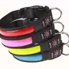Amazon Collar LED Iluminado Recargable por USB Collar Luminoso Anti-Pérdida para Mascotas Suministro Directo de Fábrica Venta al por Mayor