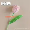 Produto Acabado Transfronteiriço Girassol Artesanal Espinheiro Candied Coelho Buquê Fio Crochê Presente Criativo para Temporada de Formatura