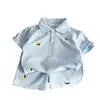 Traje de Verão para Meninos 2026 Crianças Algodão Piquet Bordado Cachorrinho Camisa Polo de Manga Curta Shorts Conjunto Fino de Duas Peças para o Verão
