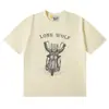 Muitas Marcas Europeias e Americanas da Moda Têm o Mesmo Estilo que Celebridades, com Camisetas de Letras da Nova Temporada, Modelos Básicos para Homens e Mulheres, e Camisetas Básicas
