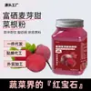 Polvo de Remolacha Malteada Rico en Selenio, Polvo Rojo Pequeño, Fibra Dietética, Compañero de Fitness, Bebida Deportiva, Polvo de Frutas y Verduras Liofilizadas, Oem