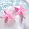 Resina Estrela do Mar Média Pequenos Acessórios Simulação DIY Pintura de Parede Presilha de Cabelo DIY Pequenos Acessórios Adesivo de Geladeira