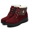 Botas de Nieve Gruesas y Cálidas del Noreste para Mujer, Forradas de Felpa, Nuevas Botas Cortas de Invierno 2026, Botas Martin con Cordones, Zapatos de Algodón de Abuela para Mujer