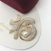 Outono e inverno bi preparação Rede vermelha talento moda essência quem está usando a Essência * produto tian Ran broche de pérola de água doce