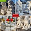 Fornecimento de Esculturas de Leão de Mármore para Pontos Cênicos, Esculturas de Pedra para Paisagismo de Jardim ao Ar Livre, Ornamentos de Animais Pixiu e Unicórnio para Parques