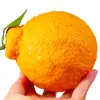Naranja fea Fruta fea 5 kg Fruta fresca de temporada Mandarinas de piel fina Caja entera de naranjas