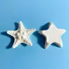 Concha Marina Estrella de Mar Pez Pequeño Accesorios de Resina DIY Funda de Teléfono Tocado Caja de Almacenamiento Hebilla de Zapato Pegatina Parche Ninguno