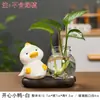 Mini Pato de Cerâmica Pothos Vaso Hidropônico Sala de Estar Varanda Micro Paisagismo Pequenos Enfeites Paisagismo em Vasos Acessórios para Casa