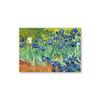 Pinturas Famosas de Van Gogh, Pinturas em Tela de Paisagem Abstrata Céu Estrelado, Pôsteres, Penduricalhos de Decoração Moderna para Casa, Núcleos de Pintura Sem Moldura