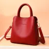 Bolsas Populares Transfronterizas Bolsos de Mujer Nuevo 2024 Bolso Cruzado Moda para Mujer Bolso de Hombro para Mujer Gran Capacidad Personalizable