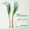 Modelo de Verdura Simulada Lechuga Falsa Repollo Brócoli Hojas Verdes Hojas de Shanghái Modelo de Gabinete Decoración para Casa