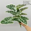 Planta Táctil Real Hoja de Calathea Caparazón de Tortuga Hotel Restaurante Exhibición Paisaje de Palmera Decoración de Pared Verde