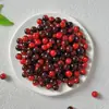 Raiz de Bodhi Natural Contas Soltas para DIY Montagem de Pulseiras Sementes de Bodhi Premium Pulseira Alívio do Estresse Contas Budistas Acessórios de Pulseira Feitos à Mão