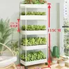 Conjunto de Caixas de Cultivo de Vegetais em Camadas para Varanda, Rack de Vegetais para Telhado, Vaso para Frutas Vermelhas, Suporte de Flores para Interior