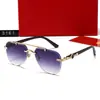Novos Óculos de Sol Europeus e Americanos Estilo Cross-Border com Borda Cortada, Armação Redonda, Óculos de Sol Femininos Fashion, Estilo Versátil e Único 3161