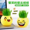 Regalos Creativos de Vacaciones para Niños, Regalos de Cumpleaños para Jardín de Infancia, Muñecos de Cabello de Césped, Plantas en Maceta que Crecen al Regarlas, Mini Plantas