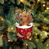 Navidad Transfronteriza Lindos Calcetines de Navidad Perro Árbol de Navidad Decoración Colgante Regalo Creativo Festivo