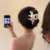 Serie Océano Pinza para el Cabello Flor Eterna Estrella de Mar Concha Baya Tocado Pinza de Estrella de Mar Viaje a la Costa Fotografía de Vacaciones