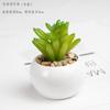 Simulação Planta Verde Artificial Flor de Plástico Carnuda Simulação de Flor Planta em Vaso Decoração de Janela de Mesa Pequeno Bonsai Mesa de Jantar Flor Mini