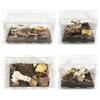 Caja de cría acrílica personalizada Jaula acrílica magnética para reptiles Caparazón transparente Caja de cría para reptiles