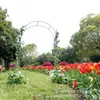 Fábrica de Origen Venta Caliente Transfronteriza Bastidor de Hierro para Trepar en Patio Boda Jardín Bastidor para Flores Rosas Bastidor para Uvas