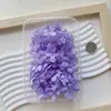 Flor Preservada DIY Hortensia Anna Hortensia Paquete de 5g Pétalos de Flor de Oso Pegatinas Faciales Pétalos Pequeños Materiales para Regalo Hecho a Mano