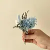 Plantas y Flores Secas al Aire Mini, Hortensias y Margaritas Multicolor, Pequeñas Decoraciones Frescas de Escritorio, Accesorios para Fotos, Recuerdos