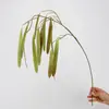 Colgante de planta Fruto de aliso Pegamento suave Fruto de frijol del amor Colgante de pared Decoración de paisajismo Accesorios para arreglos florales Seda suave