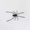 Imanes de Nevera de Araña Modelo Nuevo 2025 Transfronterizos de Amazon Imanes de Araña para el Hogar Imanes de Nevera