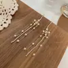 Pendientes Barrocos Largos de Perlas y Pedrería, Elegantes y de Moda, Nuevos Pendientes de Borla Retro Europeos y Americanos para Mujer