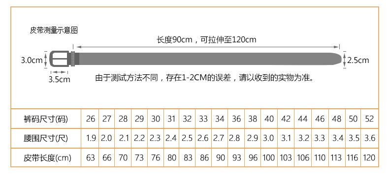 韦东休闲皮带3_04