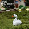 Paisagem em Miniatura Bonsai Materiais DIY Vasos de Flores para Jardinagem Plantas Suculentas Pequenos Ornamentos Animais Pequenos Criativos Decorações de Plantas em Vasos