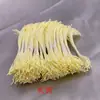Flor de Azúcar Artificial Plegable Núcleo de Flor Núcleo de Flor Núcleo de Flor Flor Estéreo Yeso Hecho a Mano DIY Accesorios para Pasadores de Cabello Retorcidos