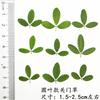 Espécimen de Planta de Pasto de Puerta Cerrada Flor Seca Hoja Arbustos Lámpara de Mesa Paquete de Material para Marcapáginas Hoja Real Flor Real Pegatina diy