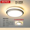 Lámpara de techo LED pequeña para balcón nórdico al por mayor transfronterizo, lámpara simple moderna para porche, pasillo, pasillo, lámparas para vestidor