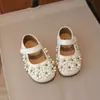 Zapatos de Princesa para Niñas 2026 Primavera y Otoño Nueva Versión Coreana Lindos con Flor Pequeña de Boca Baja Zapatos Individuales para Actuación de Niñas Zapatos de Cuero Modernos