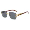 Gafas de Sol Cuadradas Sin Marco de Moda Europea y Americana con Patas Metálicas de Leopardo para Mujer, Gafas de Sol de Alta Gama, Gafas de Sol de Moda Transfronterizas