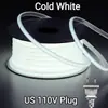 Tiras de luces LED COB transfronterizas, 110V con enchufe, luces lineales impermeables, 220V para uso doméstico, adecuadas para sala de estar y techo, tiras de luces LED flexibles