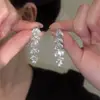 Brincos de Franja Folha de Salgueiro Gota d'Água Prata de Alta Qualidade para Mulheres, Design de Nicho de Luxo Leve, Brincos de Estilo Cool, Brincos