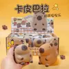 Juguete Capibara Squishy para Alivio del Estrés Estilo Tiktok, Animal Squishy de Rebote Lento para Alivio del Estrés, Venta al por Mayor desde el Fabricante