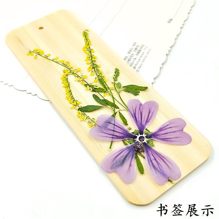 IMG20190914153257.jpg