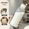 Copo de Vidro com Tampa Dupla, Resistente a Altas Temperaturas, Copo Portátil com Canudo, Copo de Água de Alto Nível Estilo Ins, Copo Prático para Mulheres, Atacado, Resistente ao Calor